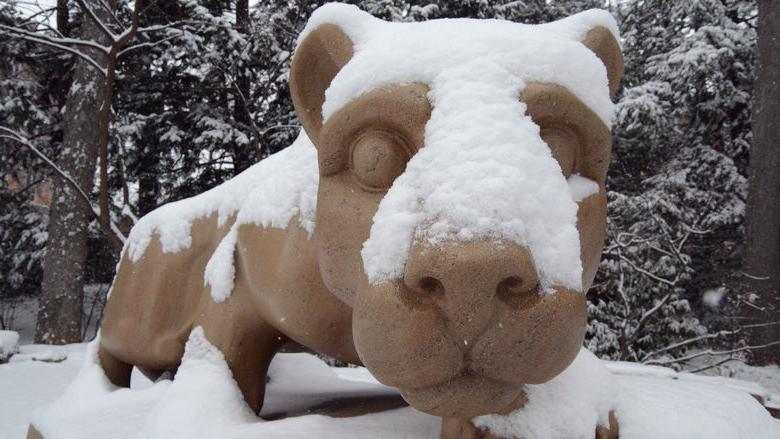 Lion covered in snow